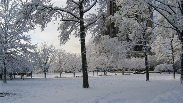 الموعد الرسمي لانطلاق