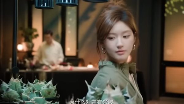 مسلسل طموح الحب الصيني