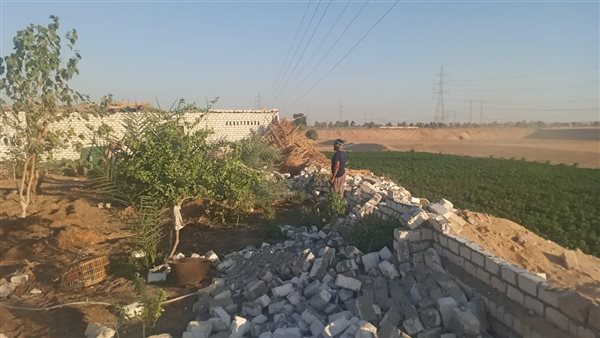 إزالة حالات التعدي