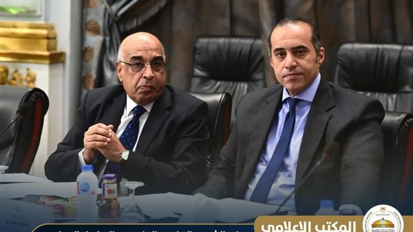  المستشار محمود فوزي