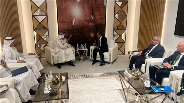 جانب من اللقاء