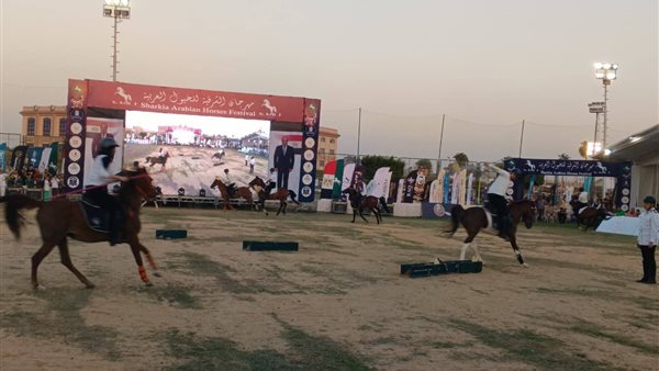  مهرجان الشرقية للخيول