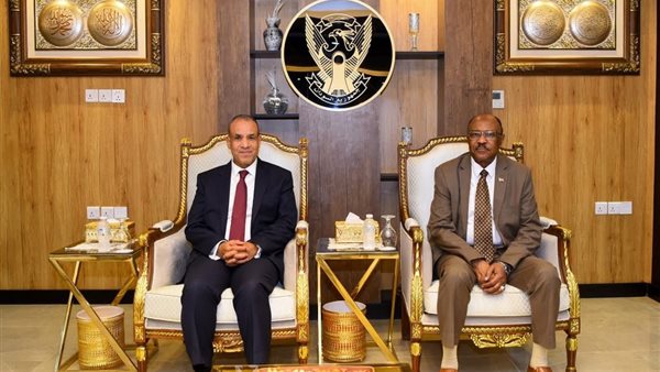  بدر عبد العاطي وزير