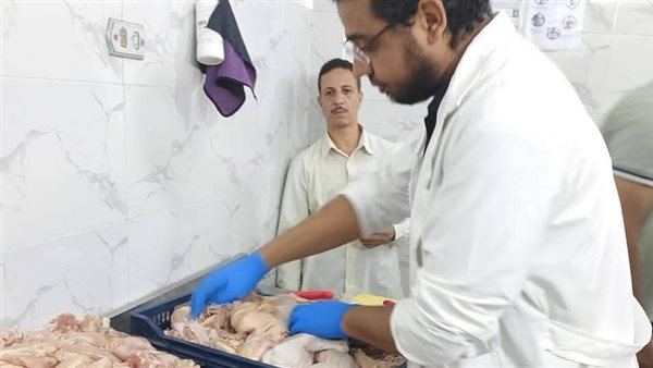 حملات تفتيش