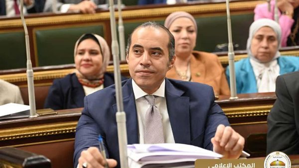 المستشار محمود فوزي