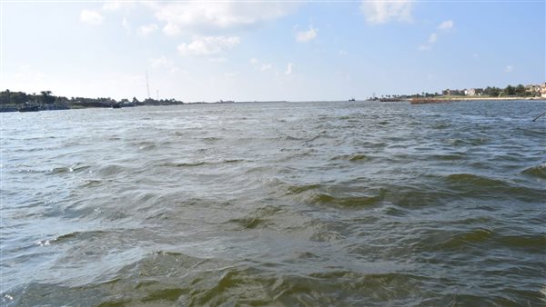 محافظه البحيره 