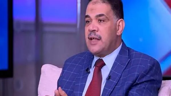 وائل نجم  الاستشاري