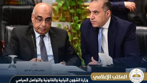  المستشار محمود فوزي