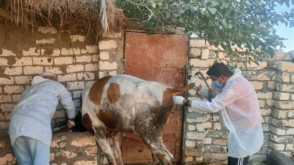  الهيئة العامة للخدمات