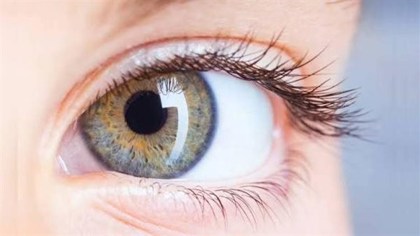 ضوابط استيراد قرنيات