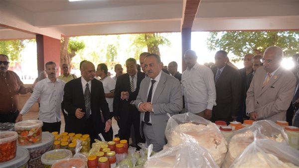 محافظ أسيوط 