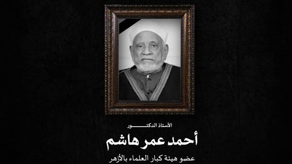 صورة توضيحية 