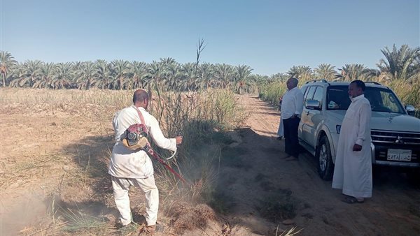 الدكتور حسام شوقي