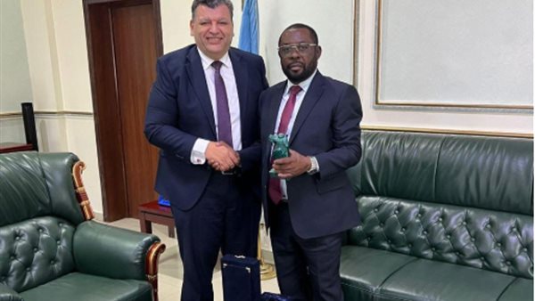 السفير أحمد فريد