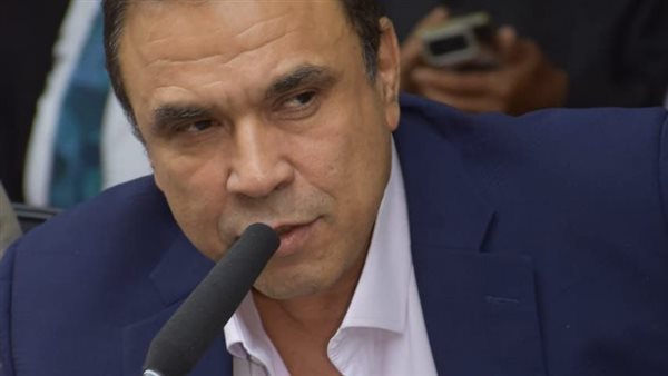 المهندس مدحت بركات،