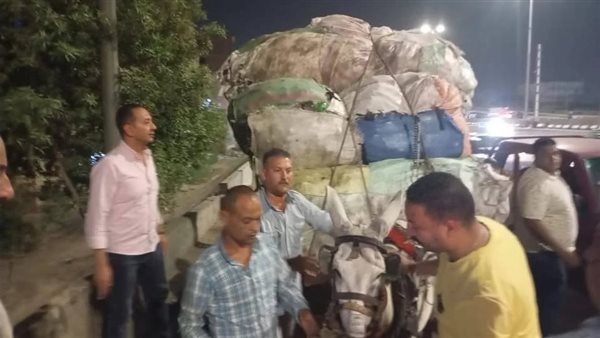 ظاهرة فرز القمامة