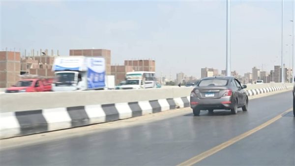 قائد السيارة