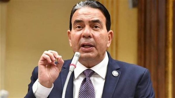 أيمن أبو العلا، وكيل