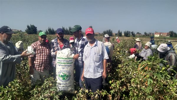 تنفيذ 468 نشاط إرشادي