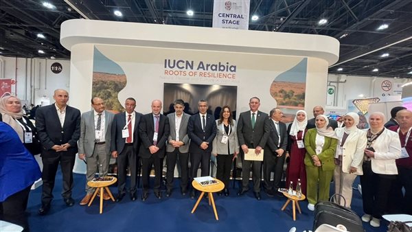 جانب من الفاعلية