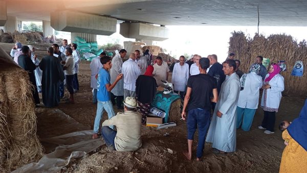 جانب من القافله 