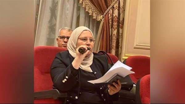 النائبة ابتهاج الطوخي