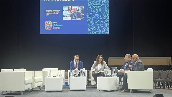 جانب من اللقاء