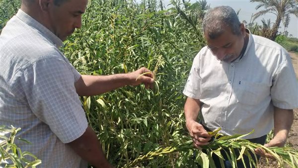 رفع مستوى الوعي لدى