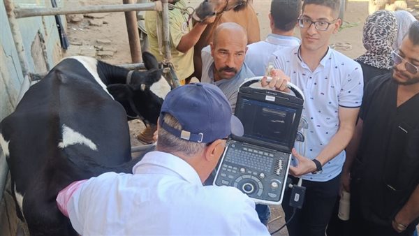 الهيئة العامة للخدمات