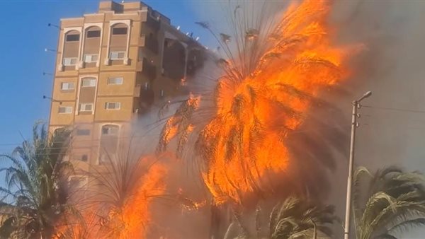 جانب من الحريق 