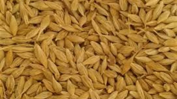 استقرار سعر الأرز