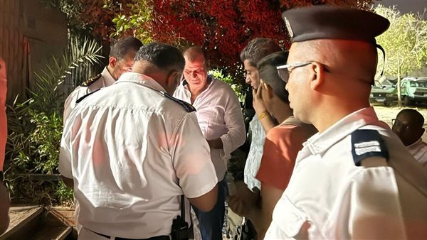 العثور على تمساح