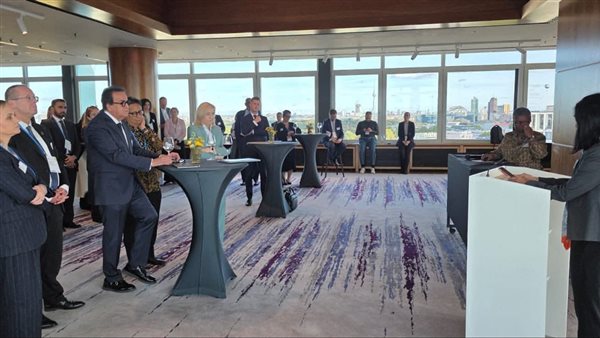 نائب رئيس مجلس الوزراء