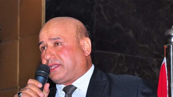 نصر سليمان، رئيس