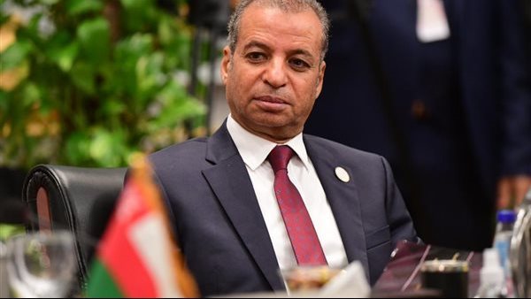 محمود عثمان الأمين