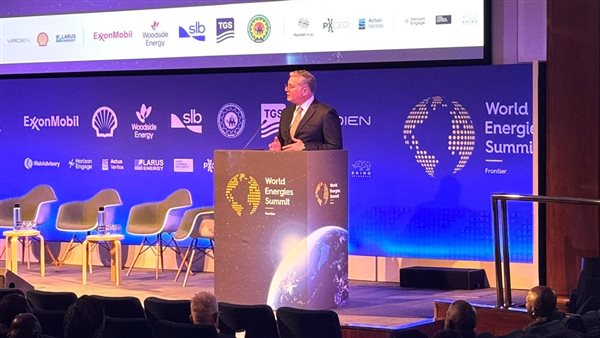 المهندس كريم بدوي