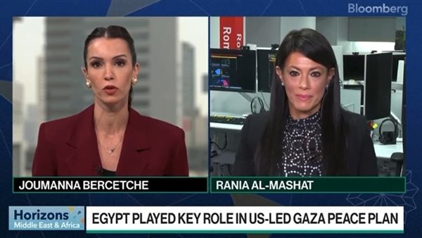 الدكتورة  رانيا المشاط