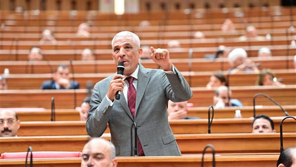 النائب محمد السيد