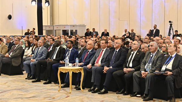 علاء فاروق، وزير