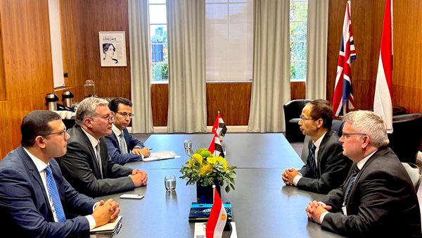 المهندس كريم بدوى