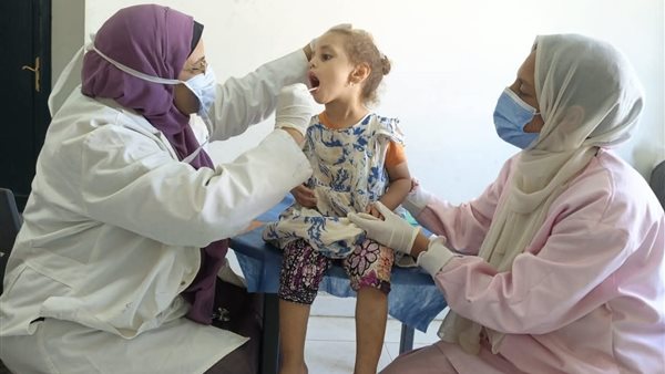 صورة توضيحية 