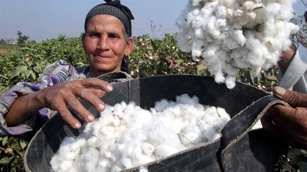 تطهير 4919 مسقى واطلاق