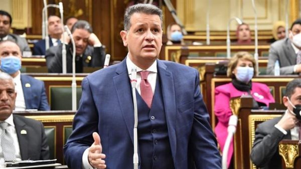 النائب طارق رضوان