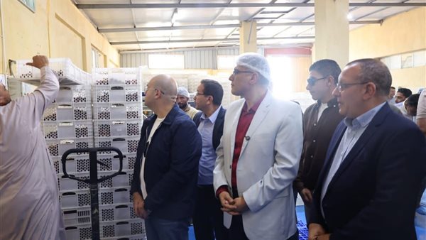  المهندس عادل النجارإطار