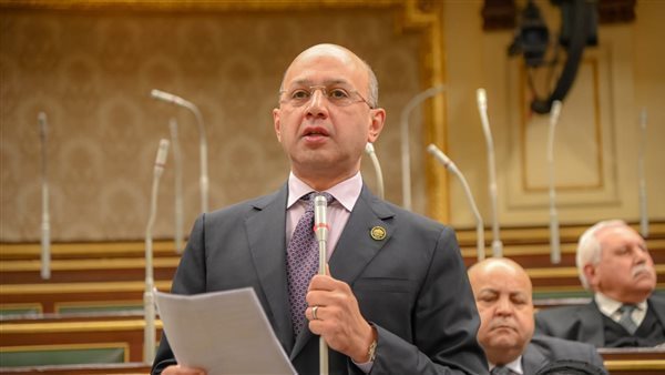  الدكتور هشام حسين،