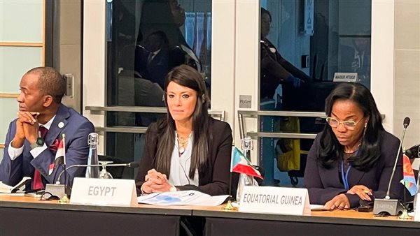  الدكتورة رانيا المشاط