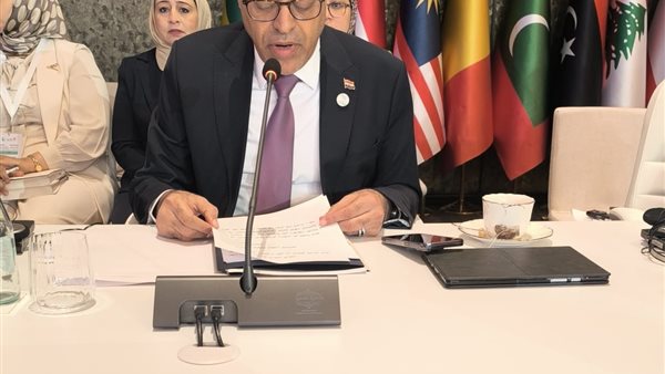  وزير العمل محمد