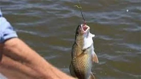 تفسير حلم صيد السمك