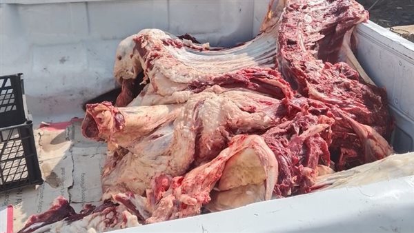لحوم غير صالحة