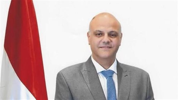 المهندس  أيمن عطية